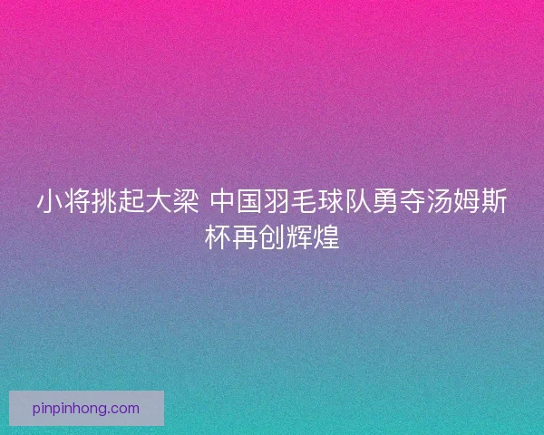 小将挑起大梁 中国羽毛球队勇夺汤姆斯杯再创辉煌