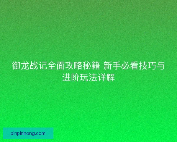 御龙战记全面攻略秘籍 新手必看技巧与进阶玩法详解